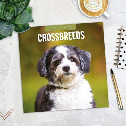 Red Robin Crossbreeds Kalender 2027