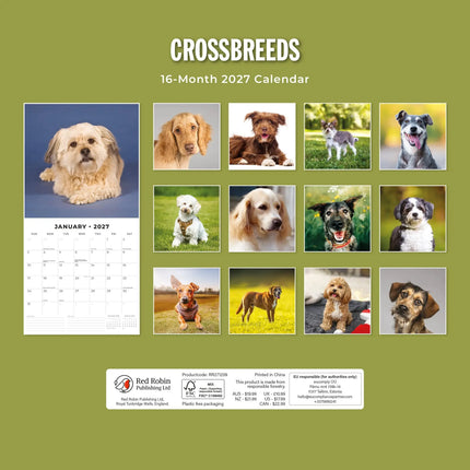 Red Robin Crossbreeds Kalender 2027