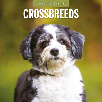 Red Robin Crossbreeds Kalender 2027