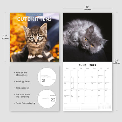 Red Robin Cute Kittens Kalender 2027