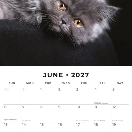 Red Robin Cute Kittens Kalender 2027
