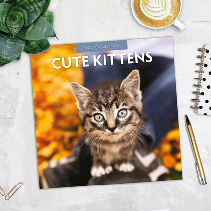 Red Robin Cute Kittens Kalender 2027