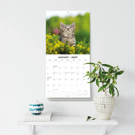 Red Robin Cute Kittens Kalender 2027