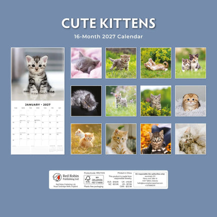 Red Robin Cute Kittens Kalender 2027