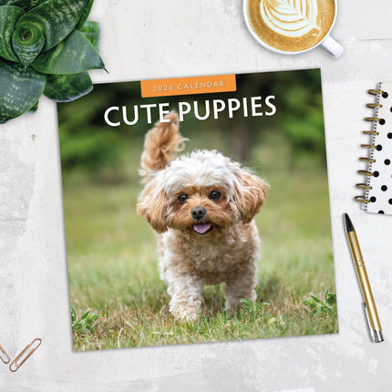 Red Robin Cute Puppies Kalender 2026
