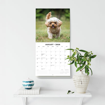 Red Robin Cute Puppies Kalender 2026