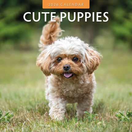 Red Robin Cute Puppies Kalender 2026