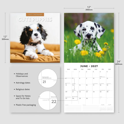 Red Robin Cute Puppies Kalender 2027