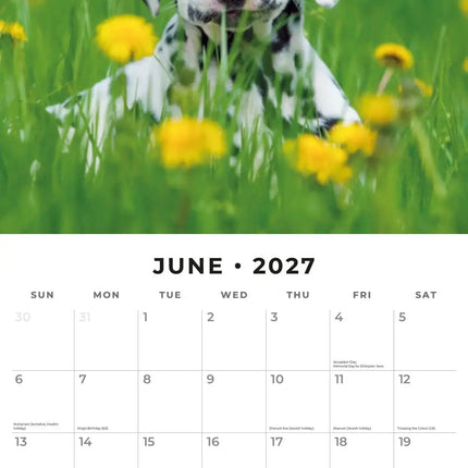 Red Robin Cute Puppies Kalender 2027