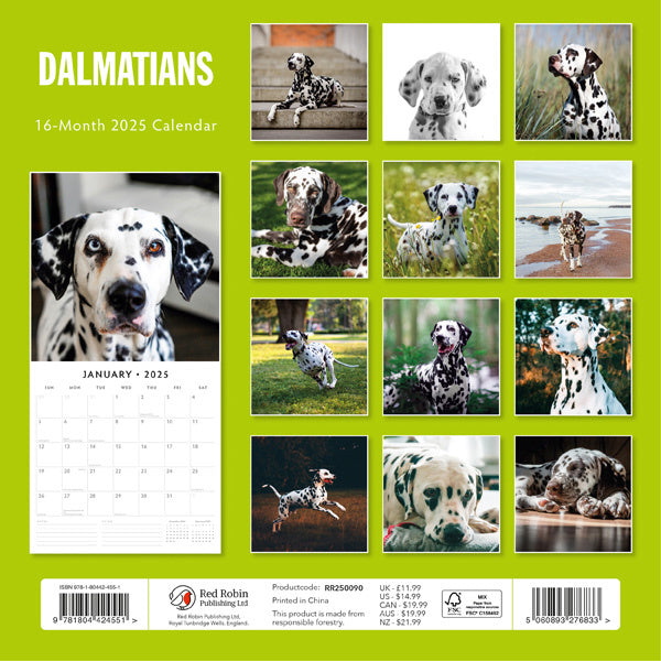 Red Robin Dalmatier Kalender 2025