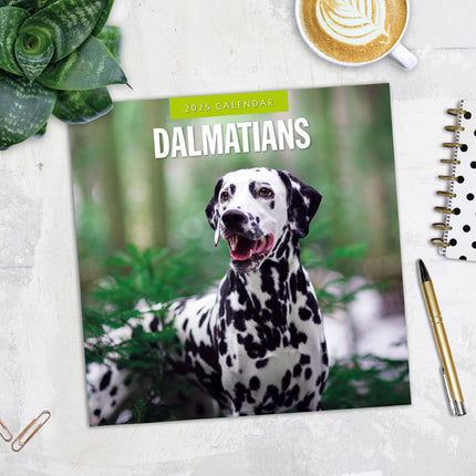 Red Robin Dalmatier Kalender 2025