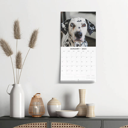 Red Robin Dalmatier Kalender 2025