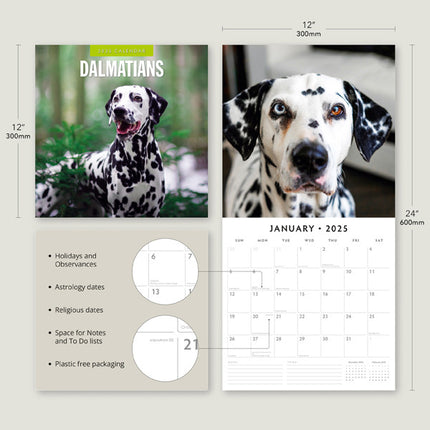 Red Robin Dalmatier Kalender 2025