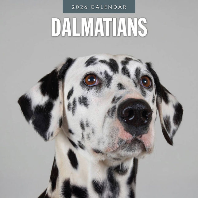 Red Robin Dalmatier Kalender 2026