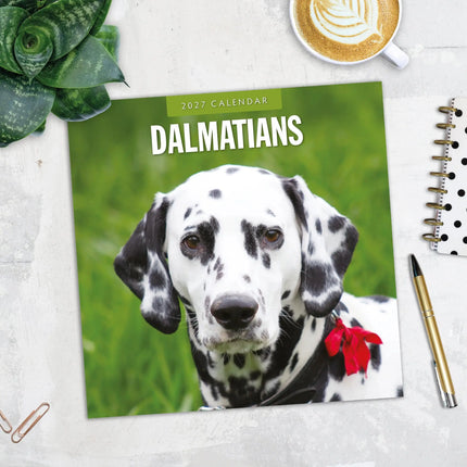 Red Robin Dalmatier Kalender 2027