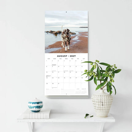 Red Robin Dalmatier Kalender 2027