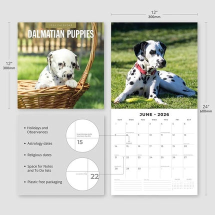 Red Robin Dalmatier Puppies Kalender 2026