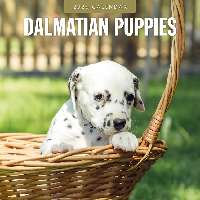 Red Robin Dalmatier Puppies Kalender 2026