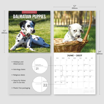 Red Robin Dalmatier Puppies Kalender 2027
