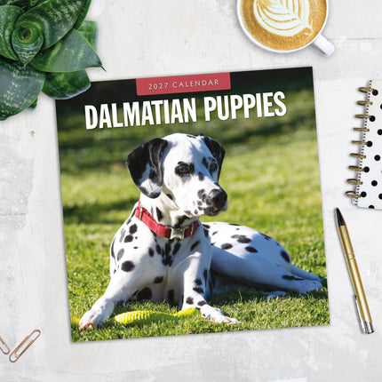 Red Robin Dalmatier Puppies Kalender 2027