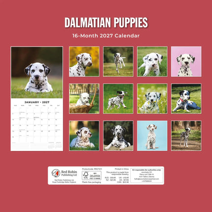 Red Robin Dalmatier Puppies Kalender 2027