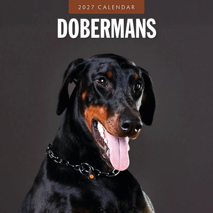 Red Robin Dobermann Kalender 2027