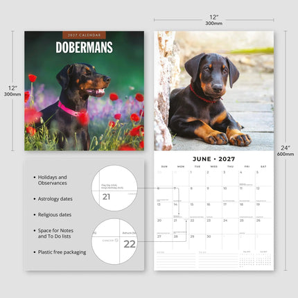 Red Robin Dobermann Kalender 2027