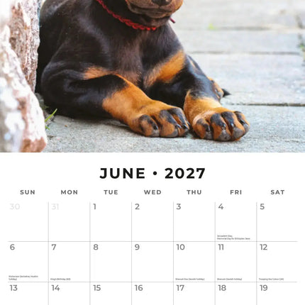 Red Robin Dobermann Kalender 2027