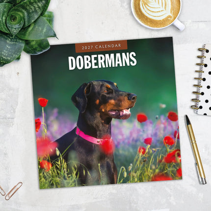 Red Robin Dobermann Kalender 2027