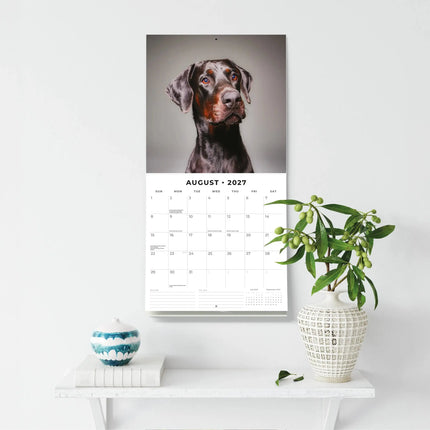 Red Robin Dobermann Kalender 2027