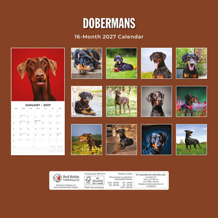 Red Robin Dobermann Kalender 2027