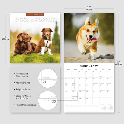 Red Robin Dogs and Puppies Kalender 2027