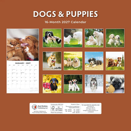 Red Robin Dogs and Puppies Kalender 2027