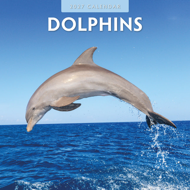 Red Robin Dolfijnen Kalender 2027