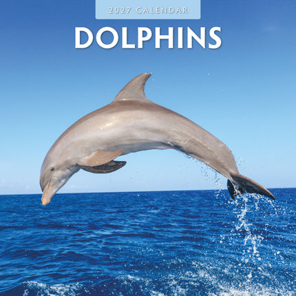 Red Robin Dolfijnen Kalender 2027