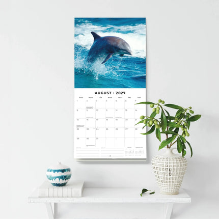 Red Robin Dolfijnen Kalender 2027