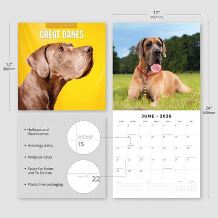 Red Robin Duitse Dog Kalender 2026
