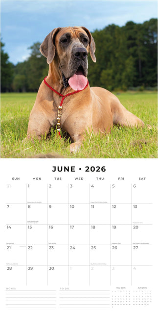 Red Robin Duitse Dog Kalender 2026