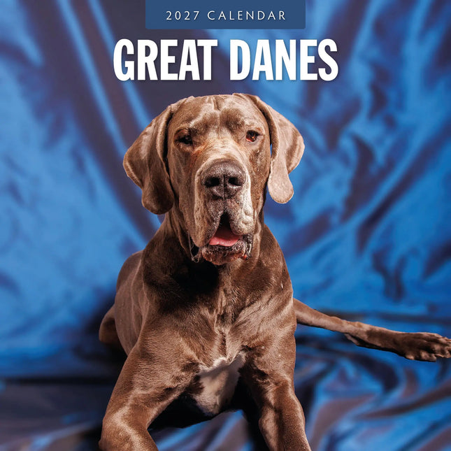 Red Robin Duitse Dog Kalender 2027