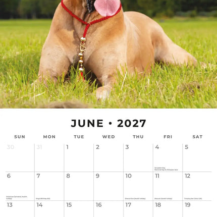 Red Robin Duitse Dog Kalender 2027