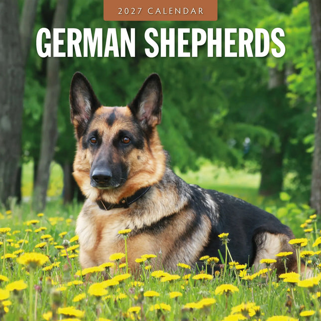 Red Robin Duitse Herder Kalender 2027