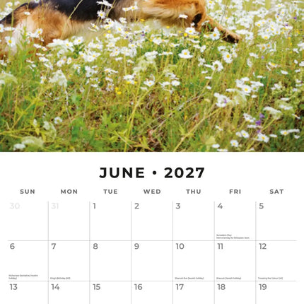 Red Robin Duitse Herder Kalender 2027