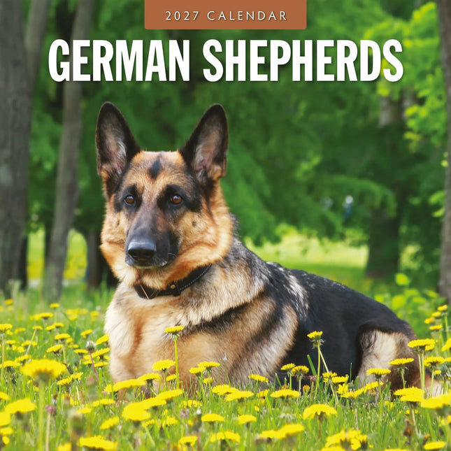 Red Robin Duitse Herder Kalender 2027
