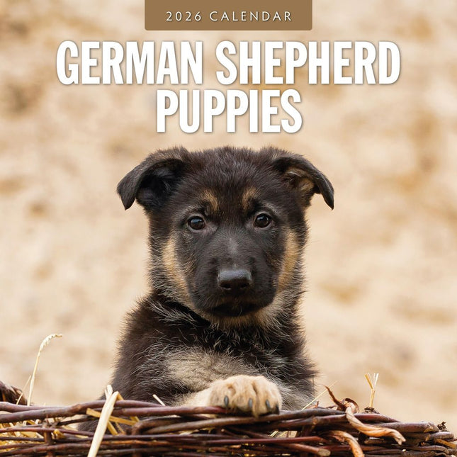 Red Robin Duitse Herder Puppies Kalender 2026