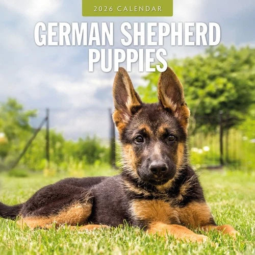 Red Robin Duitse Herder Puppies Kalender 2026