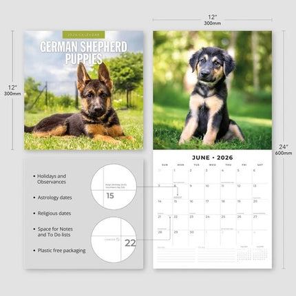 Red Robin Duitse Herder Puppies Kalender 2026