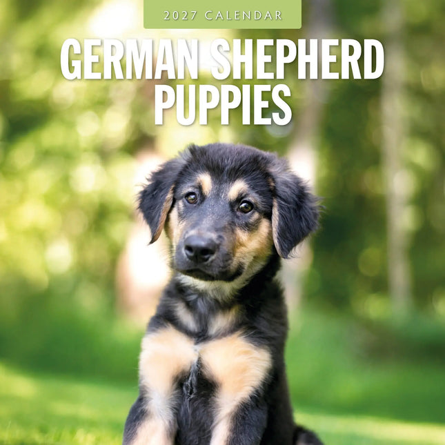 Red Robin Duitse Herder Puppies Kalender 2027