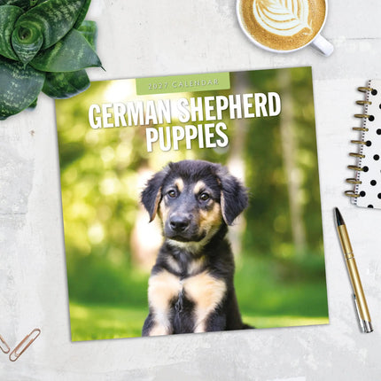 Red Robin Duitse Herder Puppies Kalender 2027