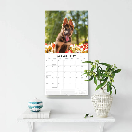 Red Robin Duitse Herder Puppies Kalender 2027