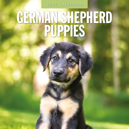 Red Robin Duitse Herder Puppies Kalender 2027